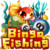 Câu Cá Bingo fly68 game